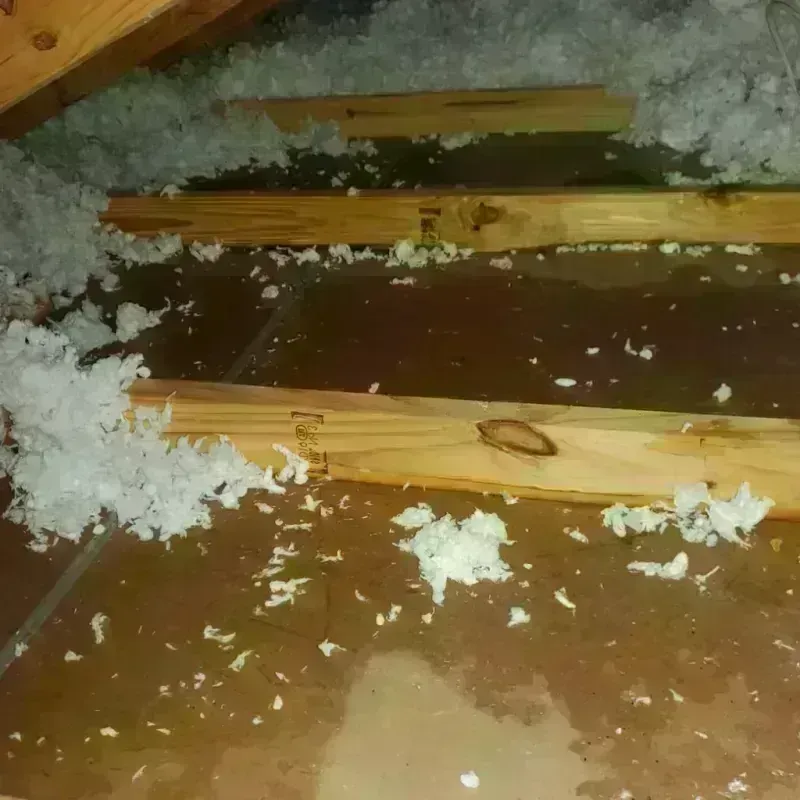 Attic Water Damage in Trainer, PA