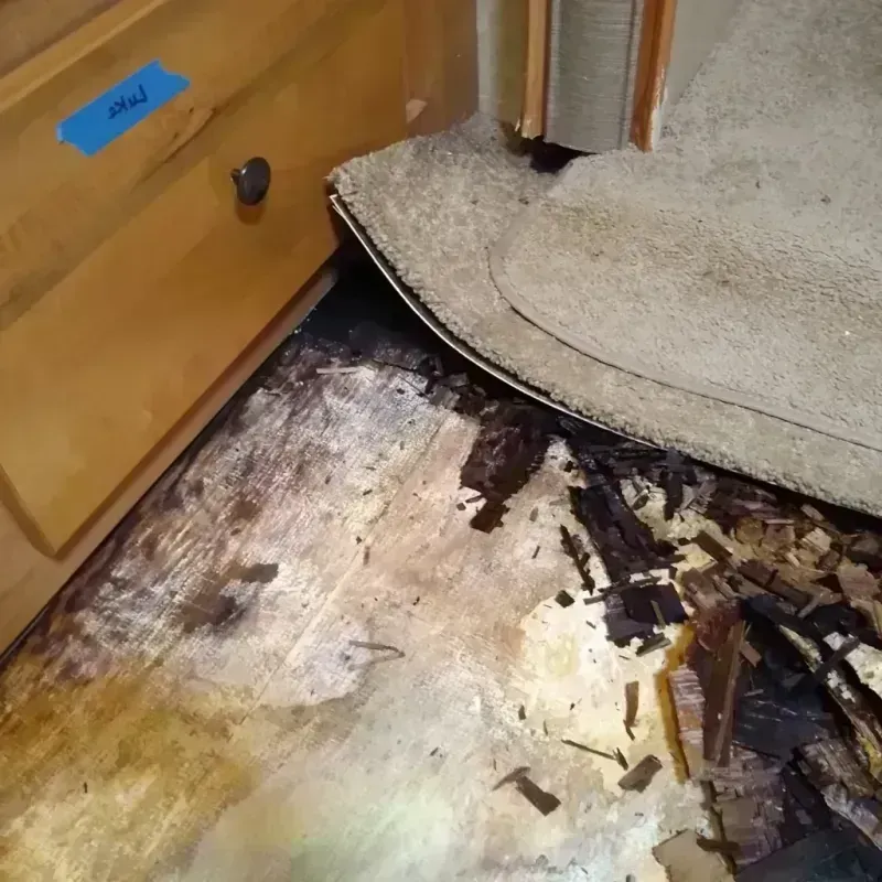 Wood Floor Water Damage in Trainer, PA